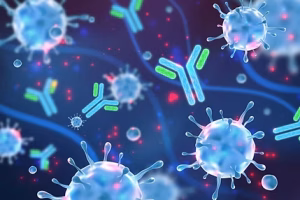 Antibodies