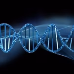 Microarray